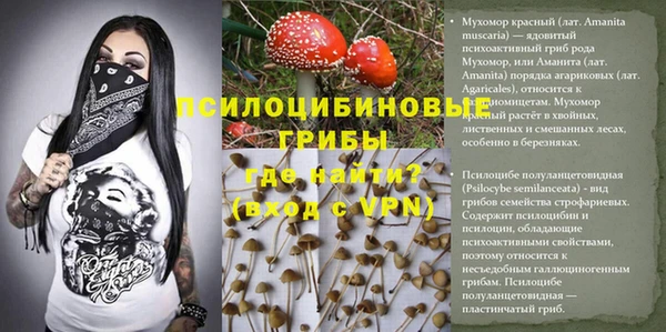 ешки Верхний Тагил