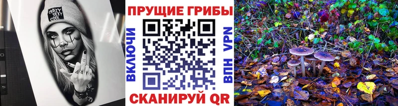 Галлюциногенные грибы ЛСД  Подольск 
